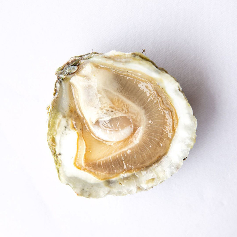 CADORET - OYSTER (L) - BELON (N 000) - 50 PCS (B:1109)