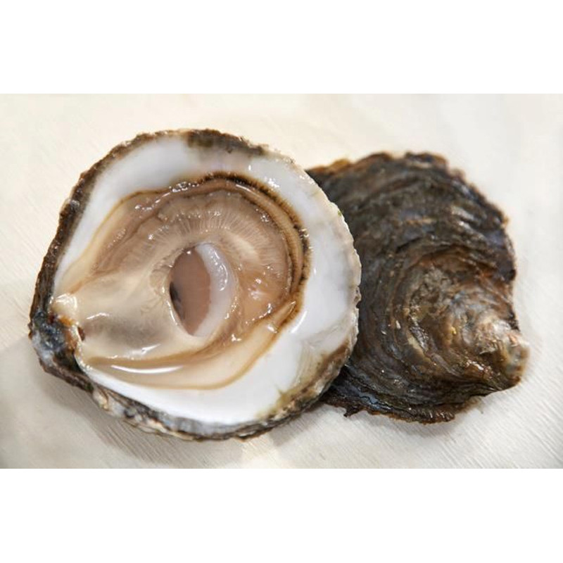CADORET - OYSTER (L) - BELON (N 3) - 25 PCS (B:1758)
