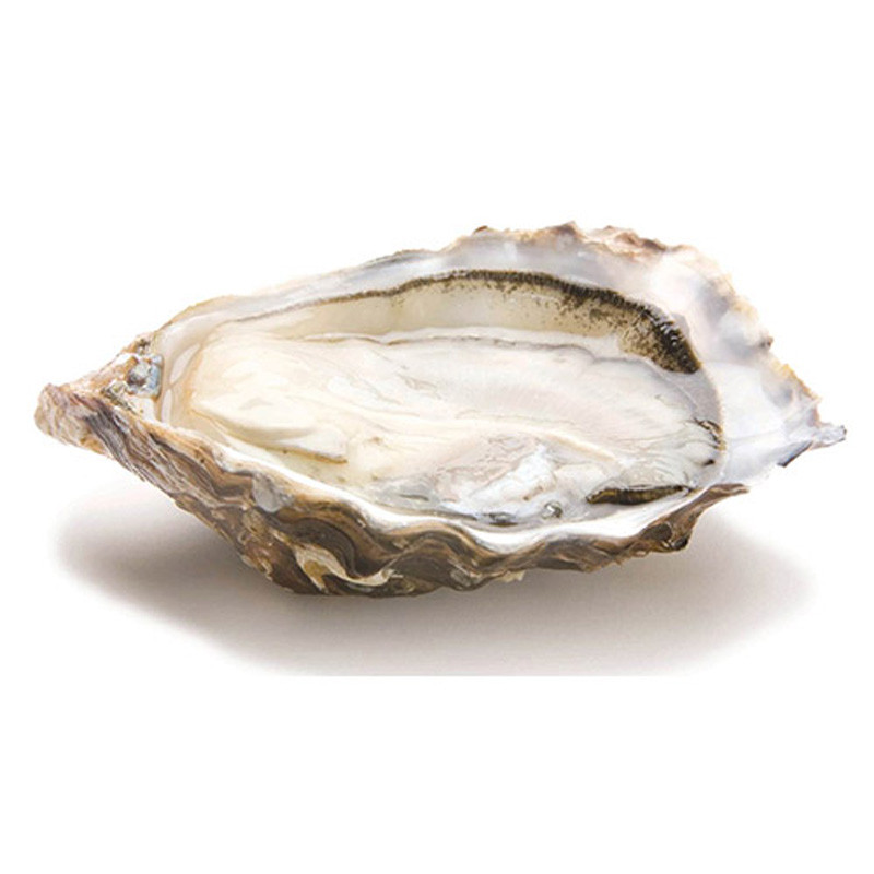 CADORET - OYSTER (L) - PERLES NOIRES (N 1) - 48 PCS (B:5015)