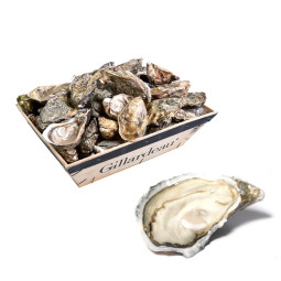 CADORET - OYSTER (L) - GILLARDEAU (N 1) - 12 PCS