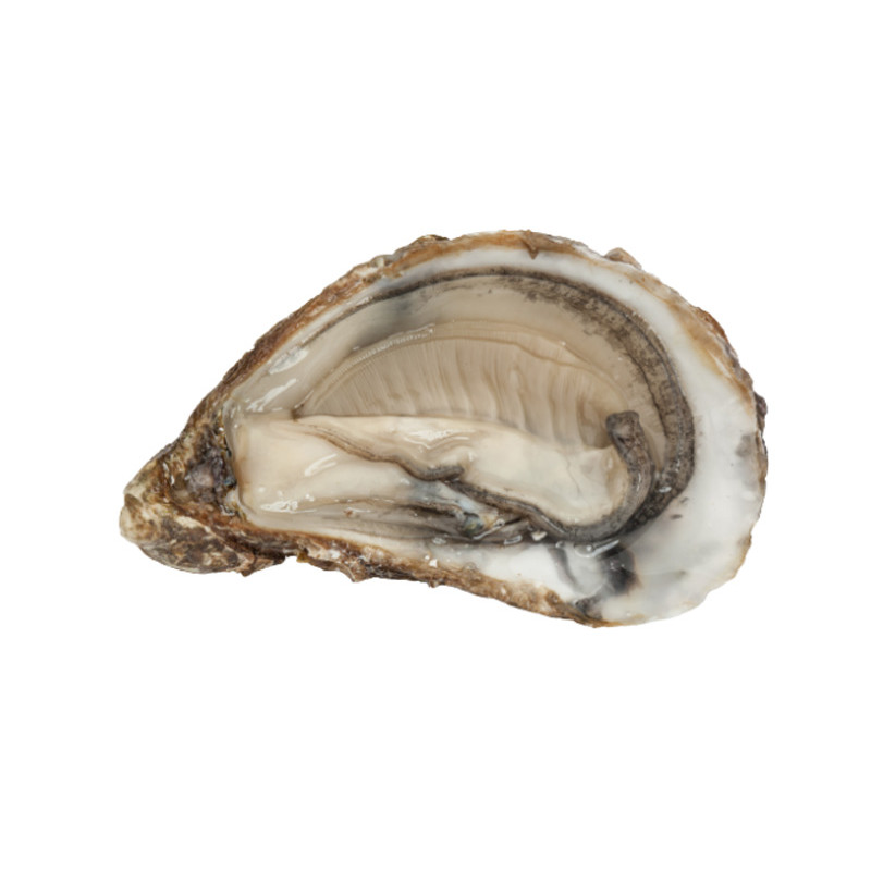 CADORET - OYSTER (L) - SPECIALES DE CLAIRE MARENNE D'OLERON (N 1) - 48 PCS