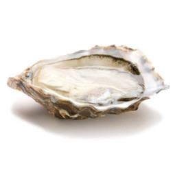 CADORET - OYSTER (L) - SPECIALES DE CLAIRE MARENNE D'OLERON (N 3) - 48 PCS