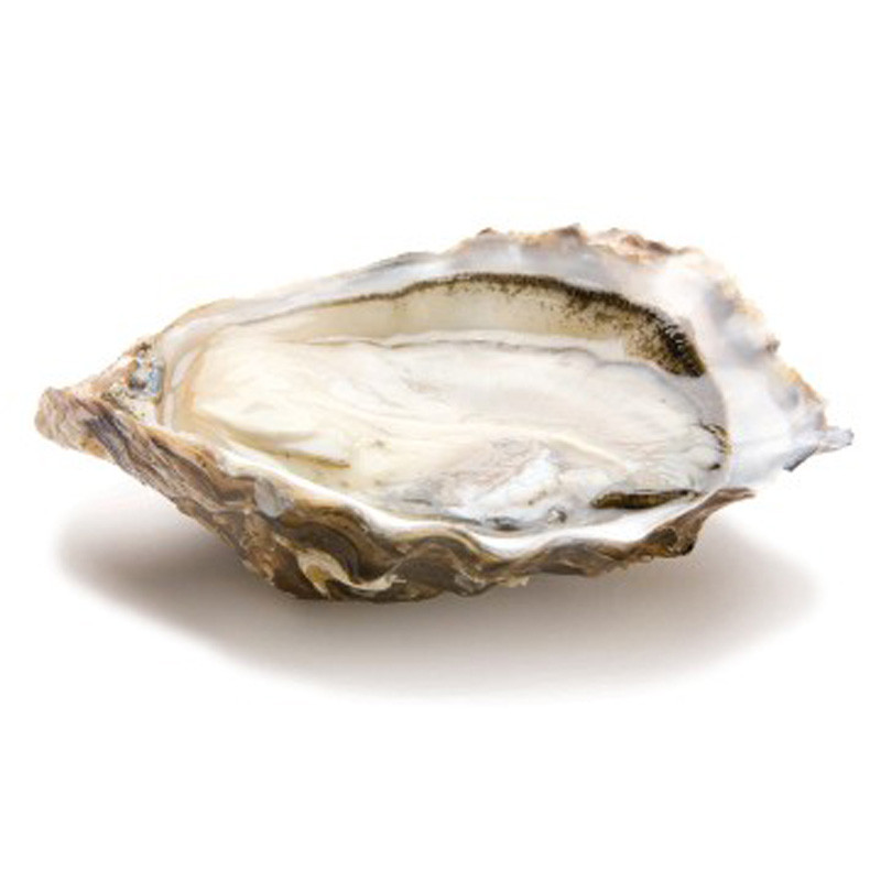CADORET - OYSTER (L) - SPECIALES DE CLAIRE MARENNE D'OLERON (N 3) - 48 PCS