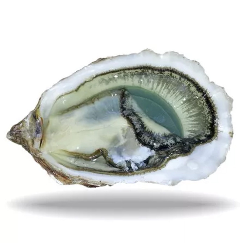 CADORET - OYSTER (L) - FINES DE CLAIRE (LABEL ROUGE) (N 3) - 48 PCS