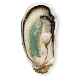 CADORET - OYSTER (L) - SPECIALES VERTES (N 2) - 24 PCS