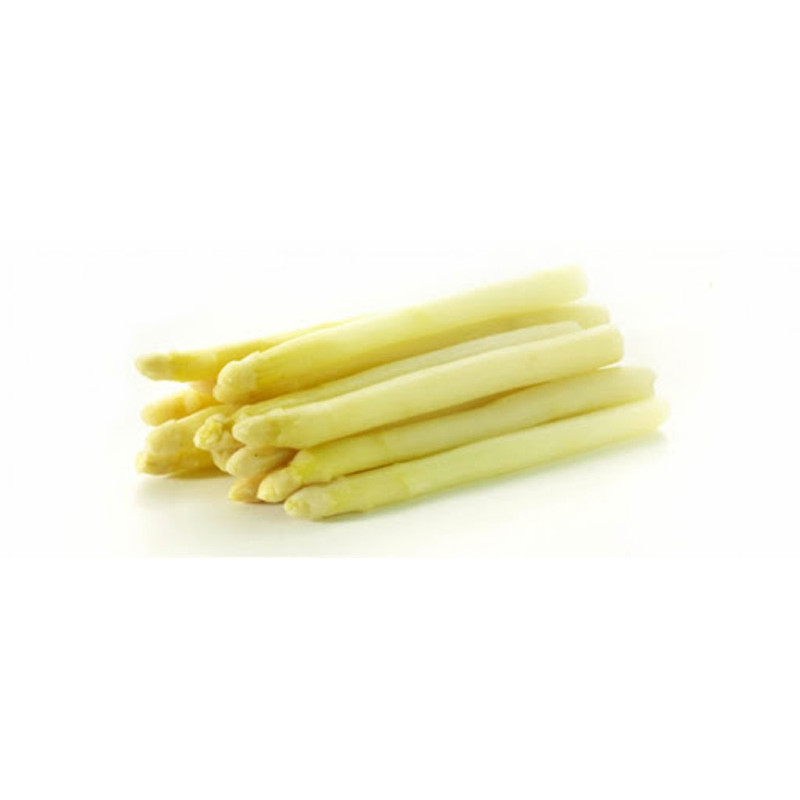 CFR - ASPARAGUS WHITE SIZE 16 22 - 5KG CASE (42724)