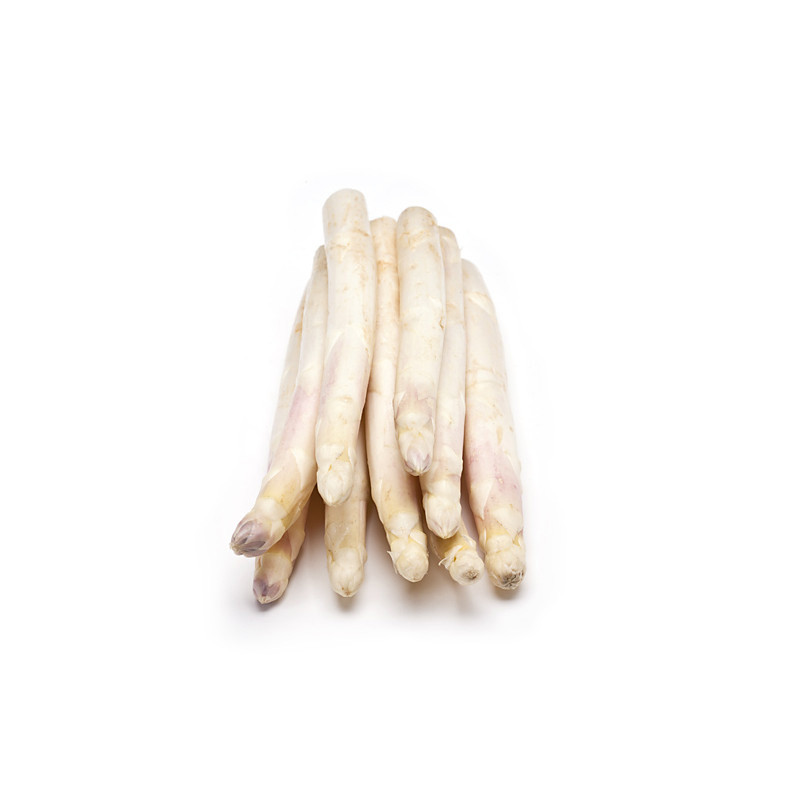 CFR - ASPARAGUS WHITE "BELLOR" (LOIRE) - CAL 22 26 - 5KG CASE (ASP095)