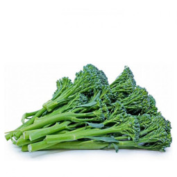 CFR - BROCCOLINI - 200G PUN - 6 OR 8 PUN CASE (BRA007)