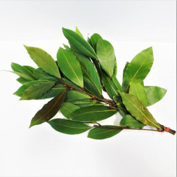 CFR - HERB BAY LEAVES - 30G BUNCH (HER048)