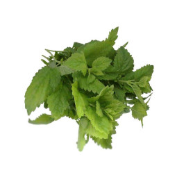 CFR - HERB LEMON BALM - 100G BUNCH (HER065)
