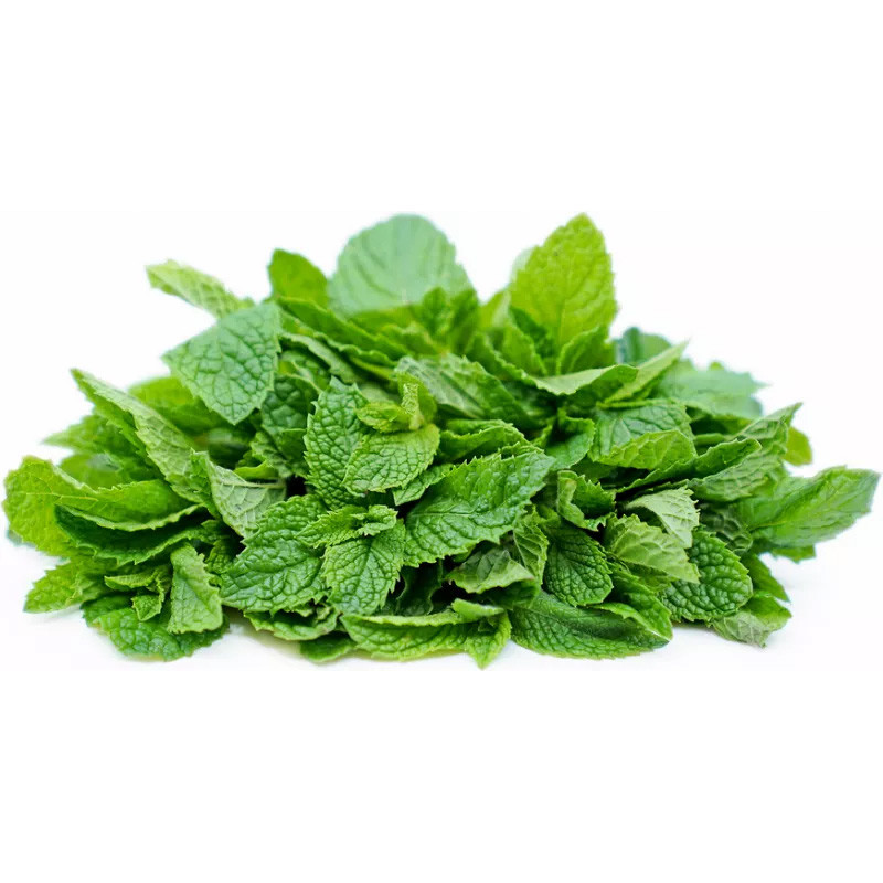 CFR - HERB MINT - 1KG CASE (HER041)