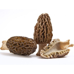 CFR - MUSHROOM MORELS - 1KG CASE (MUS040)