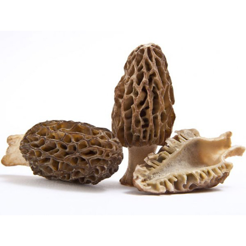 CFR - MUSHROOM MORELS - 1KG CASE (MUS040)
