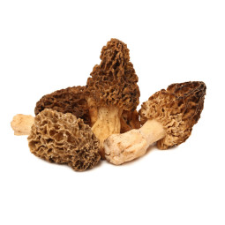 CFR - MUSHROOM MORELS TURKEY - 1KG CASE (MUS127)