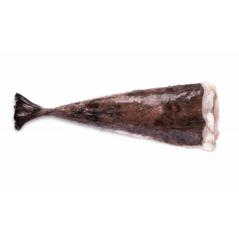 CFR - MONKFISH - TAIL 2 4 KG (17139)