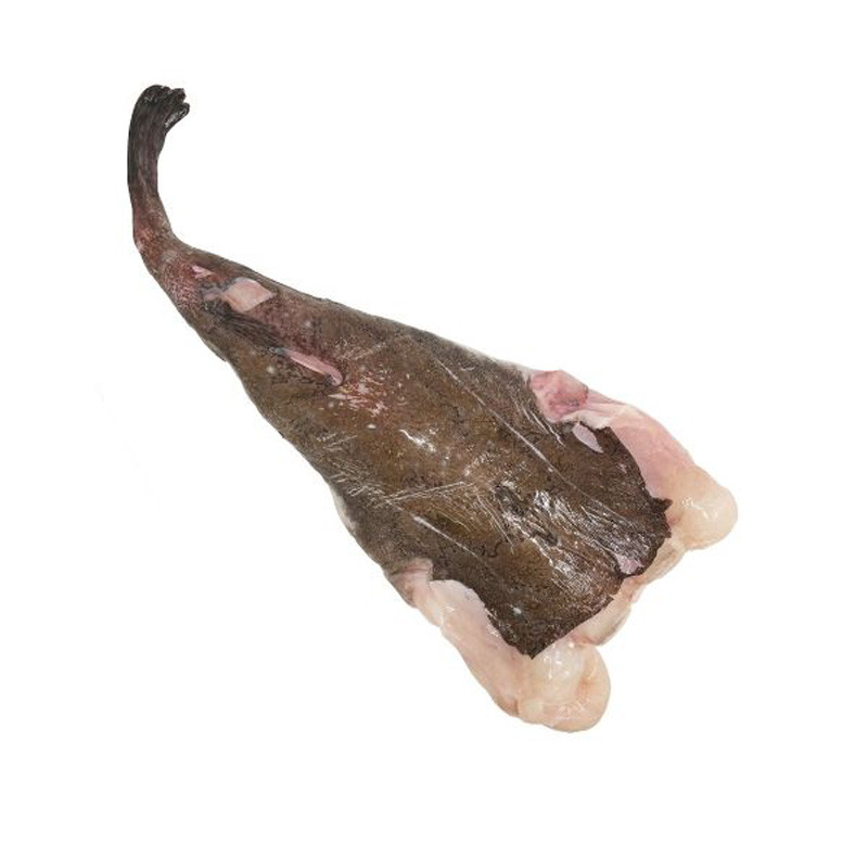 CFR - MONKFISH (WILD) - TAIL 1 2KG (MOK002)
