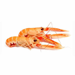 CFR - LANGOUSTINES (F) -  SIZE 8 12 DENMARK 800GM PACK (18228)