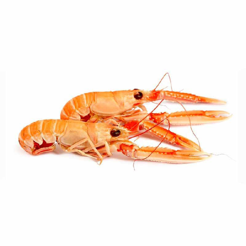 CFR - LANGOUSTINES (F) -  SIZE 8 12 DENMARK 800GM PACK (18228)