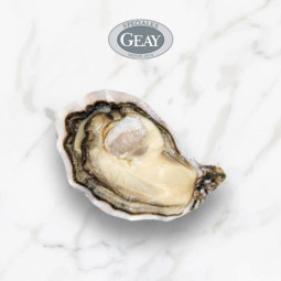 CFR - OYSTER (L) - GEAY FDC MARENNES OLERON N1 - 50 PCS (OYS091) (10849)