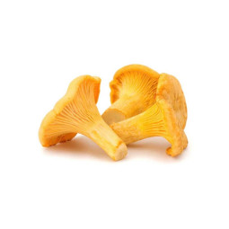 BELLORR - MUSHROOM GIROLLE MINI - 1KG CASE